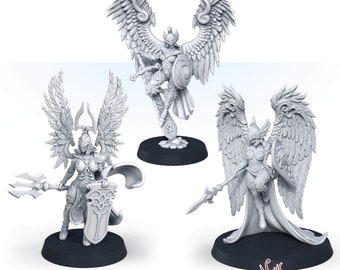 Ensemble de guerriers Valkyrie 32 mm, échelle 28 mm, RPG de collection, D&D de table non peint, combattants divins, combattant béni, personnages féminins des saints
