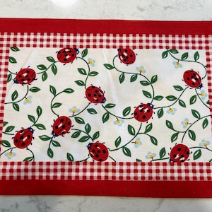 Pomegranate Ladybug Placemats, 100% Cotton w/ Red Checkerboard Border Set of 4 Summer Placemats, Summer Picnic Decor 19.5" x 13"