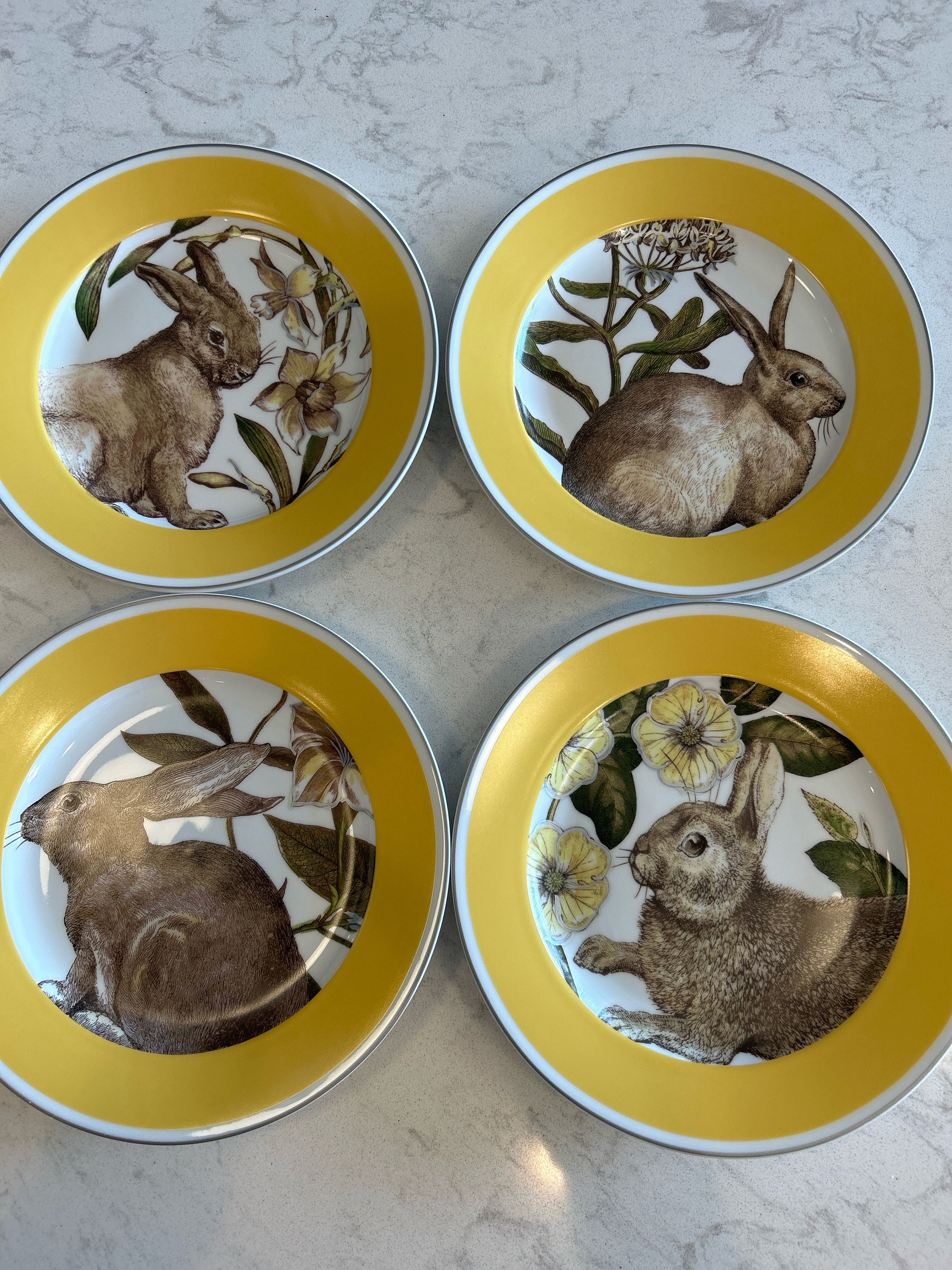 Cabilock Easter Bunny Plate ceramic easter plate Appetizer serving Plate  cute plate ceramic fruit plate dessert serving bowl kids trays for eating