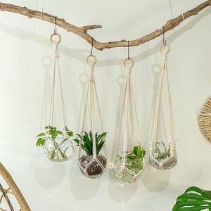 Macrame Plant Hanger, Hanging Planter Indoor, No Tassel Fringe Plant Holder Without Tail, Houseplant Propagation Station, Simple Minimalist