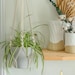 see more listings in the Macrame Plant Hangers section