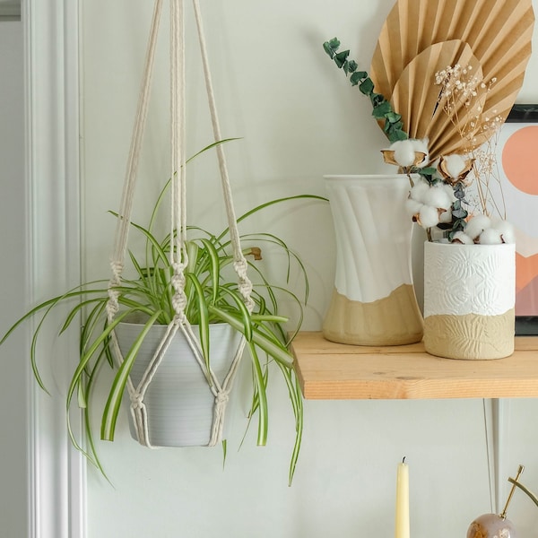 Photo inspiration: Visual Reference: Hanging Planter