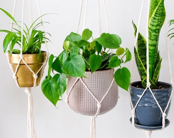 PLANT HANGER, hanging planter indoor, macrame plant hanger, minimalist hanging planter, simple plant hanger, small plant hanger, white rope