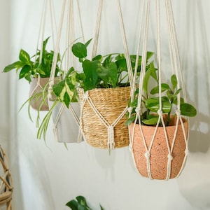 Simple Minimalist No Tassel Macrame Plant Hanger Without Tail, Long Hanging Plant Pot Holder,Indoor Hanging Planter No Tail Tassle No Fringe