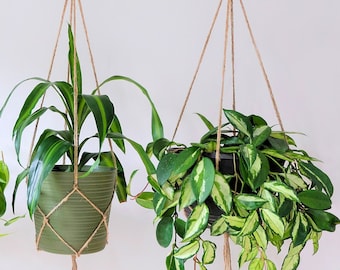 HANGING PLANTER INDOOR, minimalist plant hanger, macrame plant hanger, plant holder, houseplant hanger, plant accessories, plant hanger set
