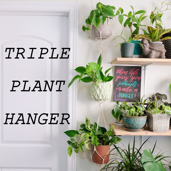 TRIPLE PLANT HANGER, hanging planter indoor, 3 tiered macrame plant hanger, plant holder, simple minimalist, macrame, home decor, houseplant