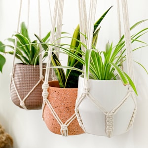 Tassel Free Plant Hanger, No Tassel Plant Hanger, Minimalistic Plant Hangers, No Tassel Macrame Plant Holder, Macrame Plant Hanger No Fringe