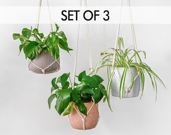 Set of 3 Simple Minimalist No Tassel Macrame Plant Hanger Set, Modern Plant Hanger Indoor Hanging Planter Pot Holder Set, 25", 30", 35" long