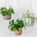 see more listings in the Simple Plant Hangers section