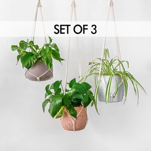 Set of 3 Simple Minimalist No Tassel Macrame Plant Hanger Set, Modern Plant Hanger Indoor Hanging Planter Pot Holder Set, 25, 30, 35 long image 1