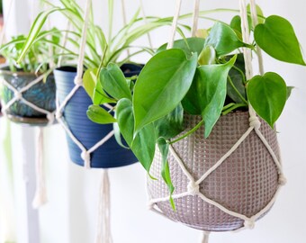 PLANT HANGERS, simple macrame plant hanger, hanging planter indoor, rope plant holder, modern home decor, houseplants, indoor plant, macrame