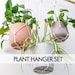 see more listings in the Plant Hanger Sets section