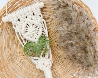 Air Plant Hanger Display, Macrame Hanging Air Plant Holder, Cute Mini Macrame Plant Hanger Rope, Airplants Boho Small Hanging Planter Indoor