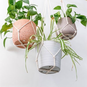Puede incluir: Tres macetas colgantes con colgadores de macramé. Las macetas son blancas, rosa claro con motas blancas y grises. Las plantas son verdes y tienen hojas largas y delgadas.