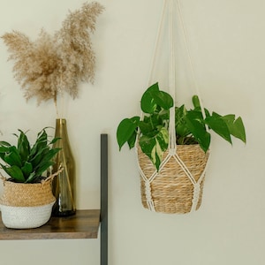 May include: A hanging macrame plant holder with a woven basket containing a green plant with variegated leaves. The plant holder is suspended from a metal hook. A small woven basket with a green plant and a tall glass vase with dried plants are on a wooden shelf.