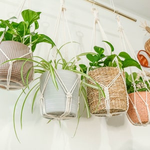 May include: Four hanging plant pots with macrame hangers. The pots are made of different materials, including woven wicker, terracotta, and a light gray ceramic. The plants are all green and leafy.
