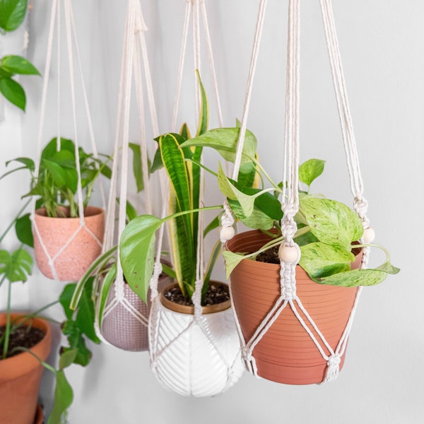 No Tassel Macrame Plant Hanger Without Tail, Indoor Hanging Planter No Tail Tassle No Fringe,Long Simple Minimalist Hanging Plant Pot Holder