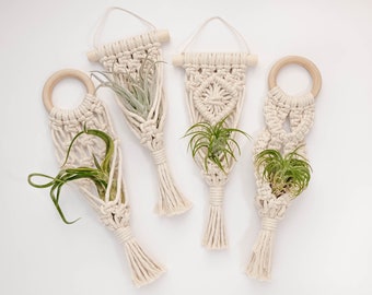 Macrame Hanging Air Plant Holder, Air Plant Hanger Display, Mini Macrame Plant Hanger, Small Hanging Planter Indoor, Hygge Boho Wall Decor