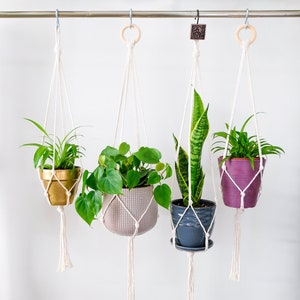 Op de afbeelding: Vier macramé plantenhangers met verschillende gekleurde potten en planten. De hangers zijn gemaakt van wit katoenen touw en hebben een houten ring aan de bovenkant. De planten zijn een slangplant, een spinplant, een pothos en een vredeslelie.