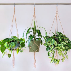 Simple Plant Hanger, Hanging Planter Indoor Plants, Macrame Plant Hanger Set for Houseplants & Hanging Plant, Rustic Minimalist Plant Holder