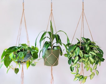 Percha de planta simple, plantas de interior de jardinera colgante, juego de percha de planta Macrame para plantas de interior y plantas colgantes, soporte de planta minimalista rústico