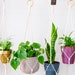 see more listings in the Simple Plant Hangers section