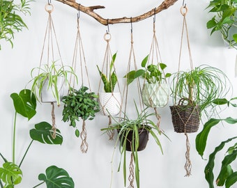 Suspension minimaliste en macramé, jardinière suspendue simple pour plantes d'intérieur, plantes d'intérieur, petit porte-pot court et long, jute rustique bohème