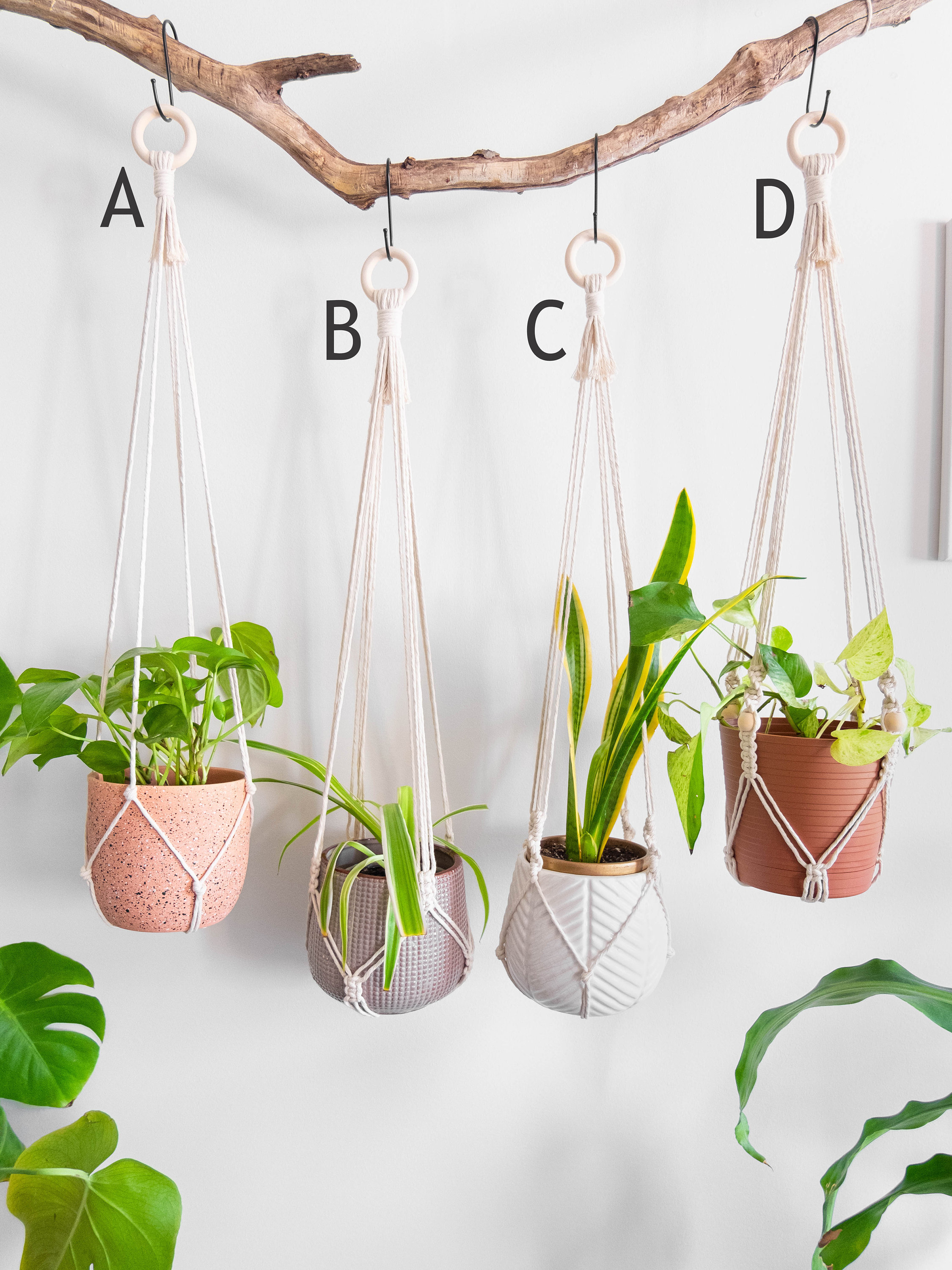 No Tassel Macrame Plant Hanger Without Tail, Indoor Hanging Planter No Tail  Tassle No Fringe,long Simple Minimalist Hanging Plant Pot Holder - Etsy
