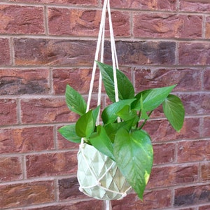 May include: A green geometric planter with a leafy plant hanging from a white macrame plant hanger.