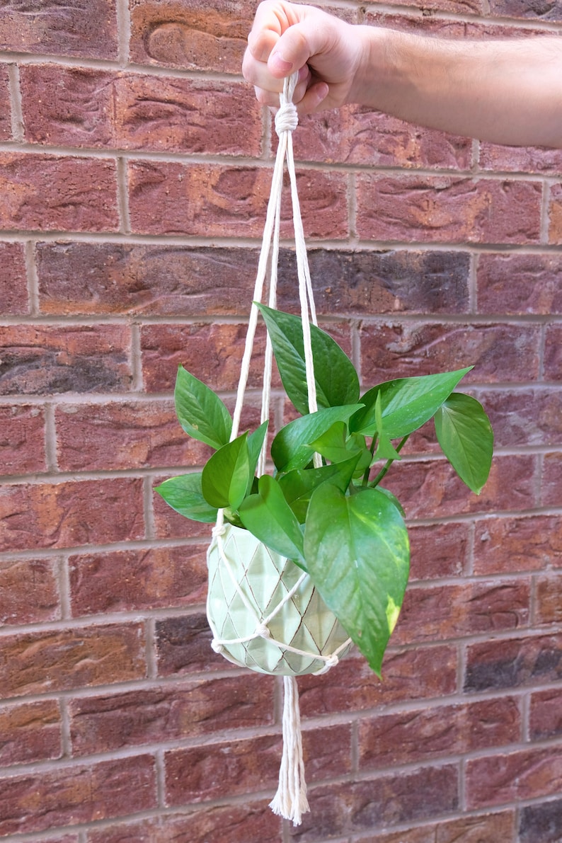 May include: A green geometric planter with a leafy plant hanging from a white macrame plant hanger.