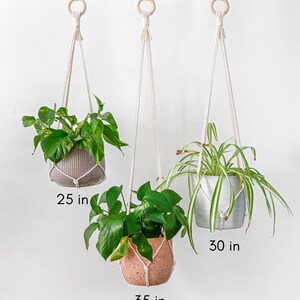 May include: Three macrame plant hangers with wooden rings, each holding a different potted plant. The hangers are 25 inches, 30 inches, and 35 inches long. *total length (from the top of the ring to bottom) without pots
