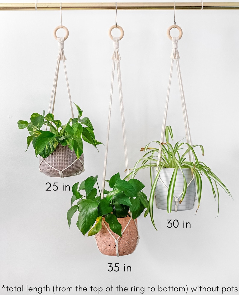 May include: Three macrame plant hangers with wooden rings, each holding a different potted plant. The hangers are 25 inches, 30 inches, and 35 inches long. *total length (from the top of the ring to bottom) without pots