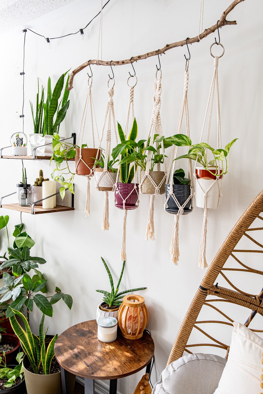 Macrame Plant Hangers - Dachma Plant Holders Indoor Hanging