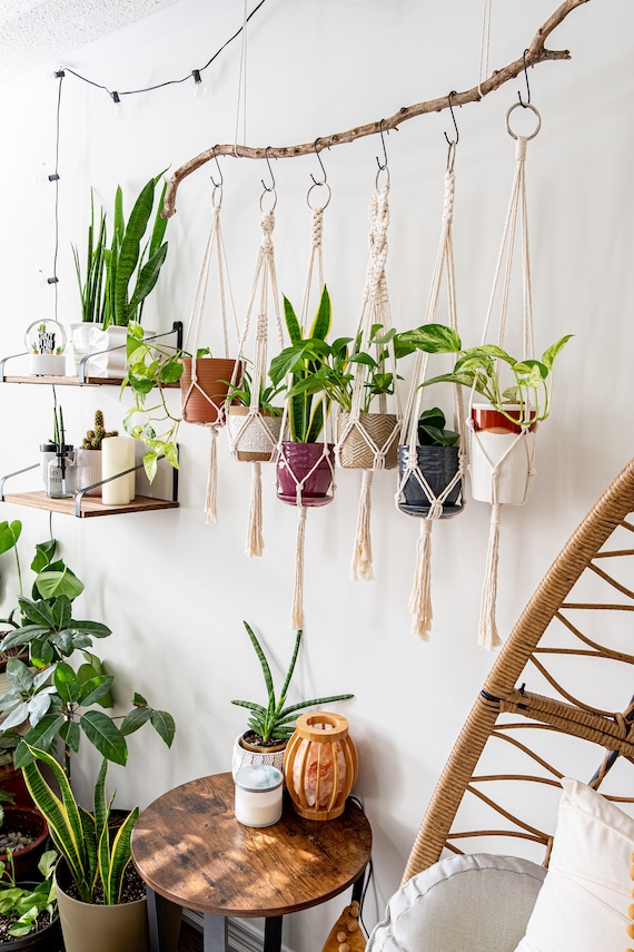 Colgador de plantas de macramé para interiores, maceta colgante, soporte  para plantas colgantes de cuerda de