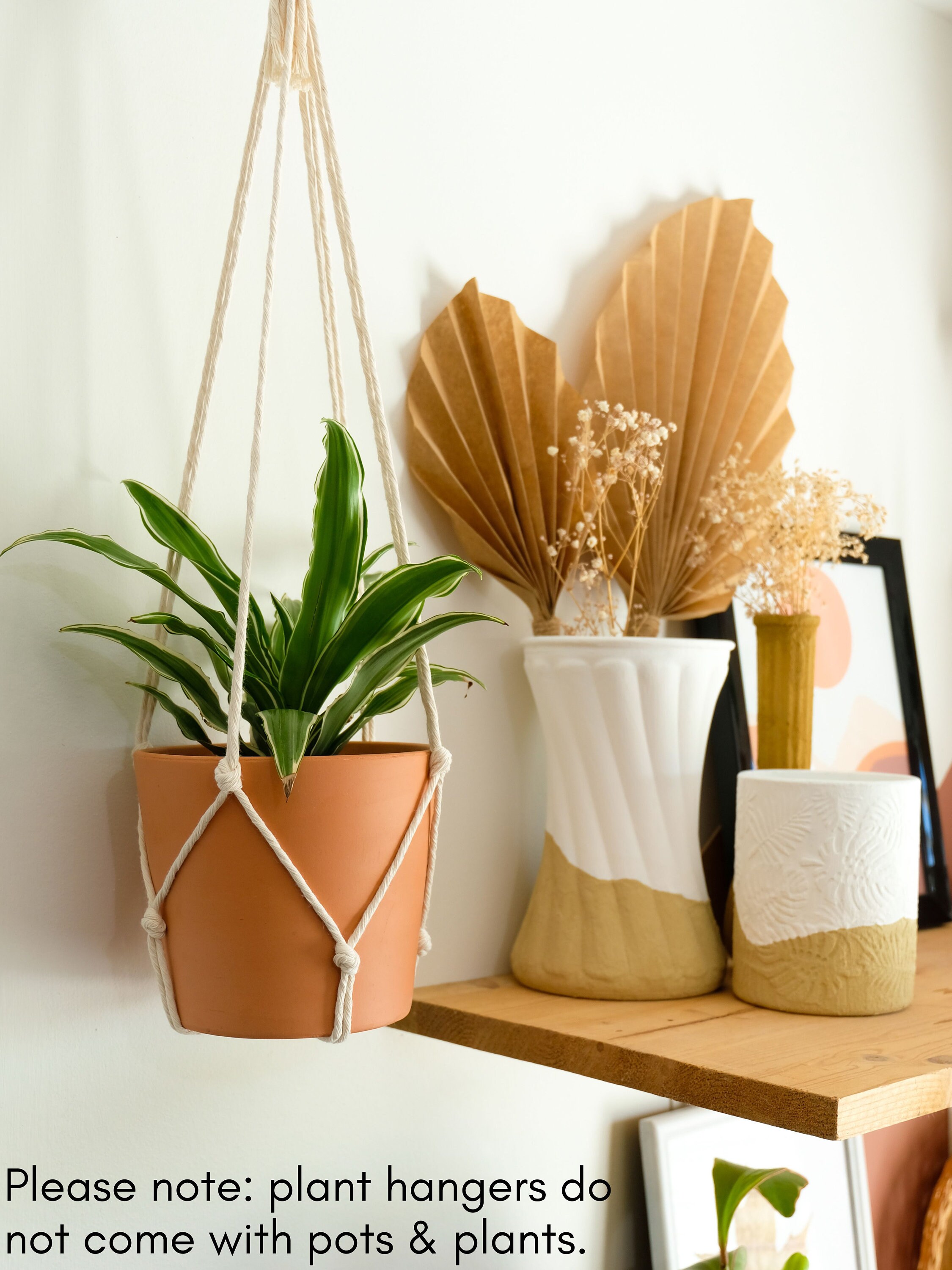 pots for indoor plants Easy Care Variety Bundle