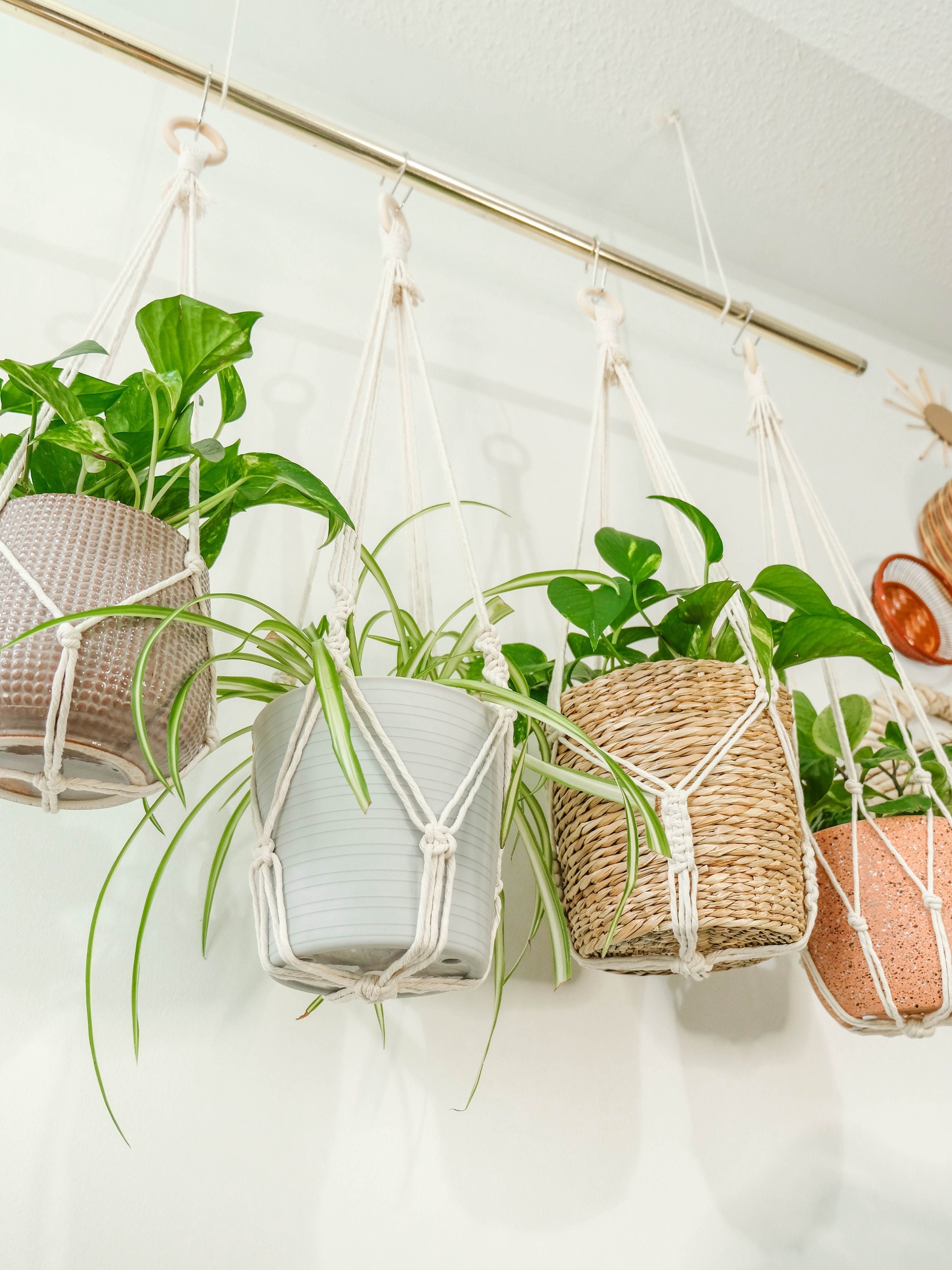Cómo convertir cestas de mimbre en modernos maceteros para tus plantas