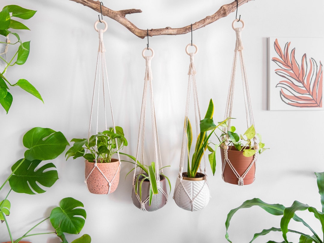 Macrame Plant Hanger No Tassel Fringe Indoor Hanging Planter - Etsy