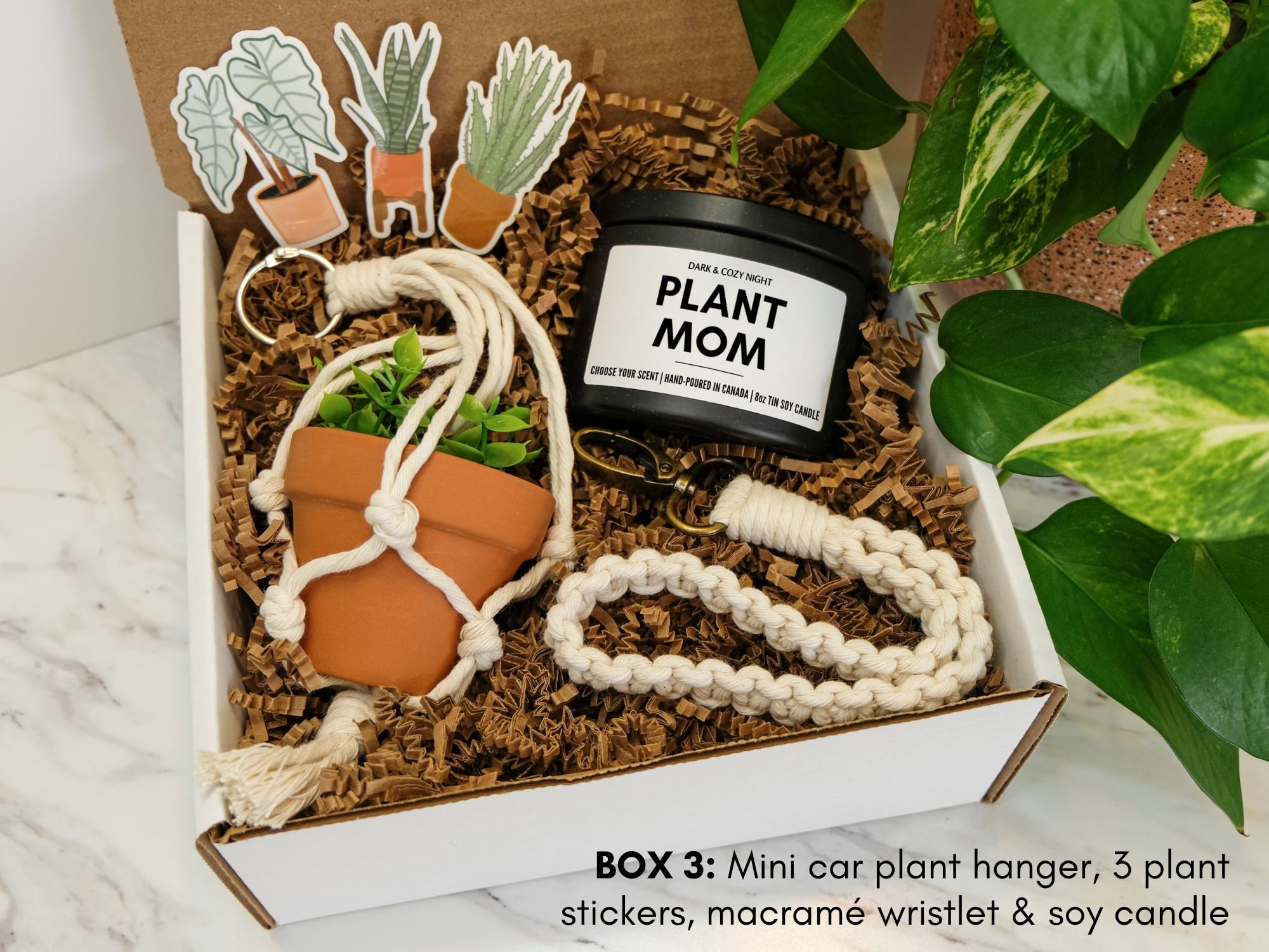 Plant Lovers Gift, Succulent Gift Box, Small Macrame Plant Hanger