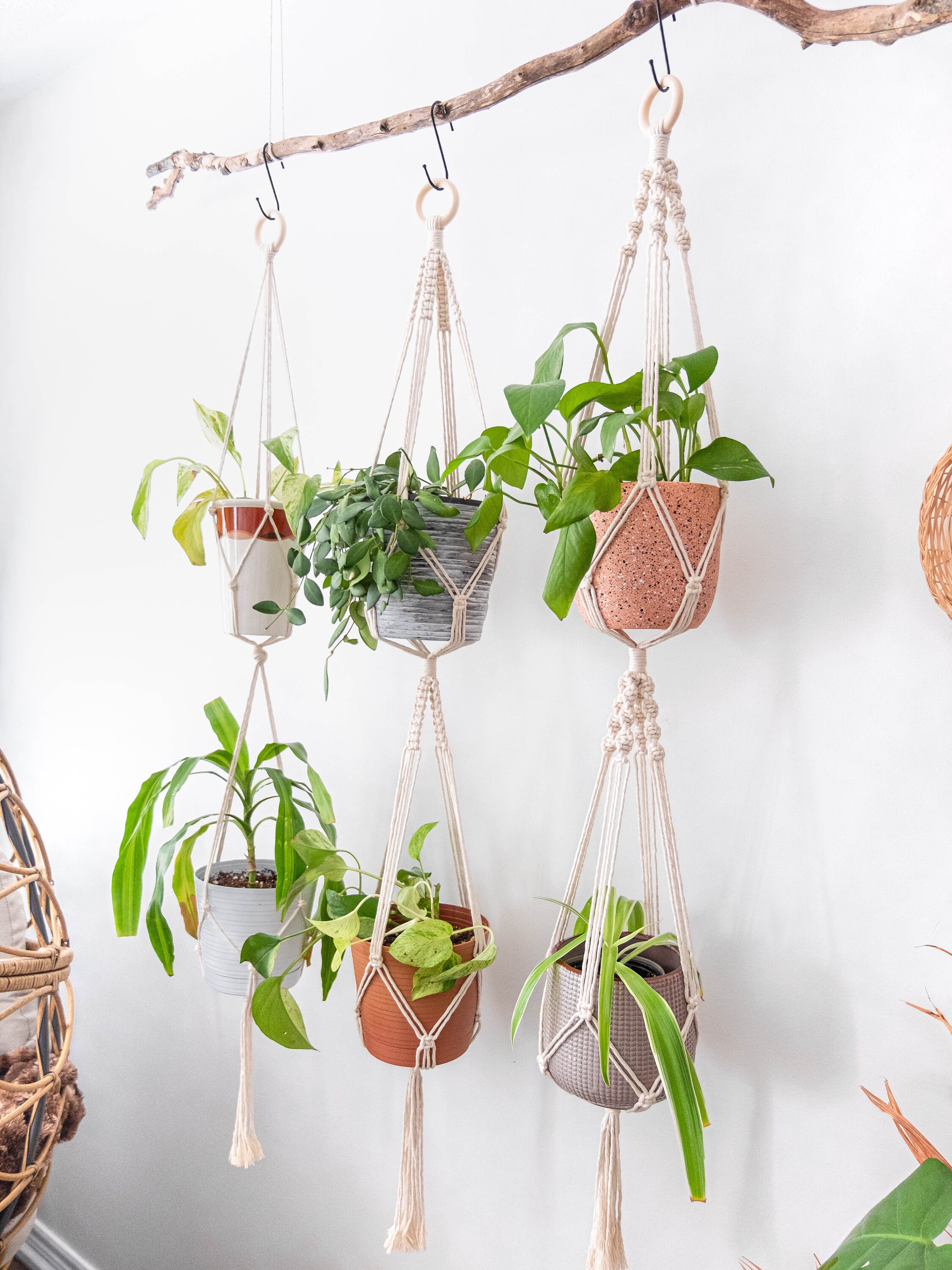 Double Macrame Plant Hanger, Two Tiered Hanging Planter Indoor Plants ...