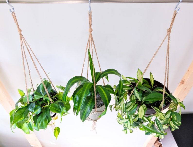 Simple Plant Hanger, Hanging Planter Indoor Plants, Macrame Plant Hanger Set for Houseplants & Hanging Plant, Rustic Minimalist Plant Holder image 7