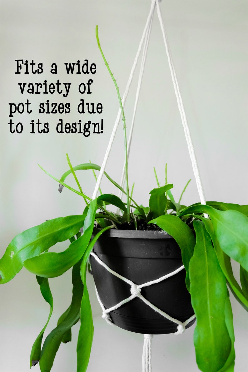 Tier Planter, Two Tiered Hanging Planter, Hanging Planter, Hanging Plant Holder, Hanging Planter Indoor, Double Plant Hanger, Plant Hanger image 4