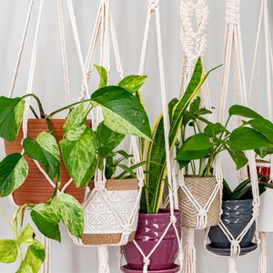 Macrame Plant Hanger, Hanging Planter Indoor, Small Large Hanging Plant Pot Holder, Boho Home Decor Ideas, Houseplant Wall Planter, Wall Art image 7