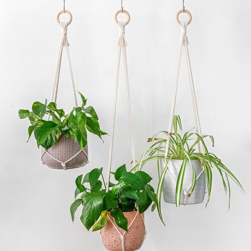 Simple Minimalist No Tassel Macrame Plant Hanger Without Tail, Indoor Hanging Planter No Tail Tassle No Fringe,Long Hanging Plant Pot Holder