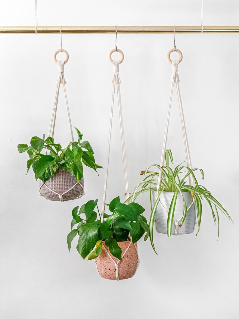 Set of 3 Simple Minimalist No Tassel Macrame Plant Hanger Set, Modern Plant Hanger Indoor Hanging Planter Pot Holder Set, 25, 30, 35 long image 2