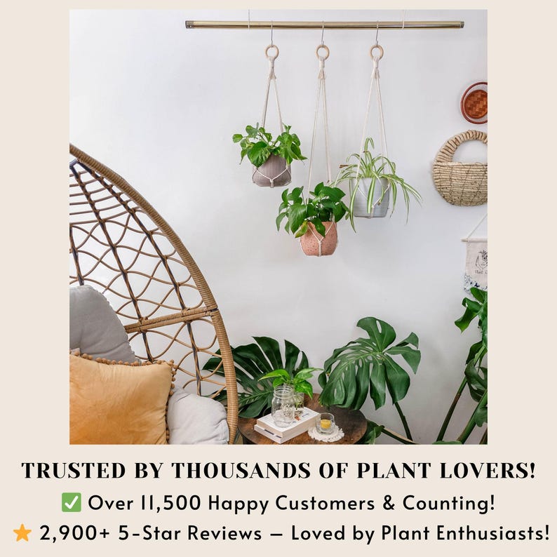 May include: Three macrame plant hangers with green plants hanging from a gold metal rod. The hangers are made of white cotton cord and have a simple knot design. The plants are in terracotta pots. The background is a white wall with a wicker chair and a large green plant in the foreground.