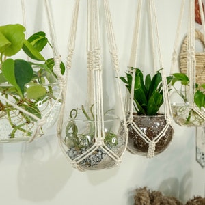 Peut inclure: Quatre terrariums en verre suspendus avec des plantes. Les terrariums sont suspendus par des cintres en macramé blanc cassé. Les plantes comprennent des plantes vertes à feuilles et des succulentes. Les terrariums sont suspendus contre un mur blanc.