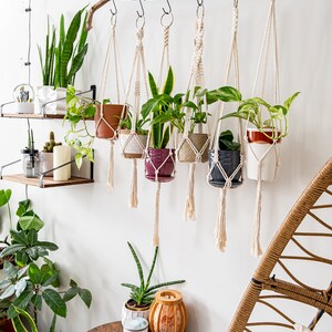 Macrame Plant Hanger, Hanging Planter Indoor, Small Large Hanging Plant Pot Holder, Boho Home Decor Ideas, Houseplant Wall Planter, Wall Art image 8