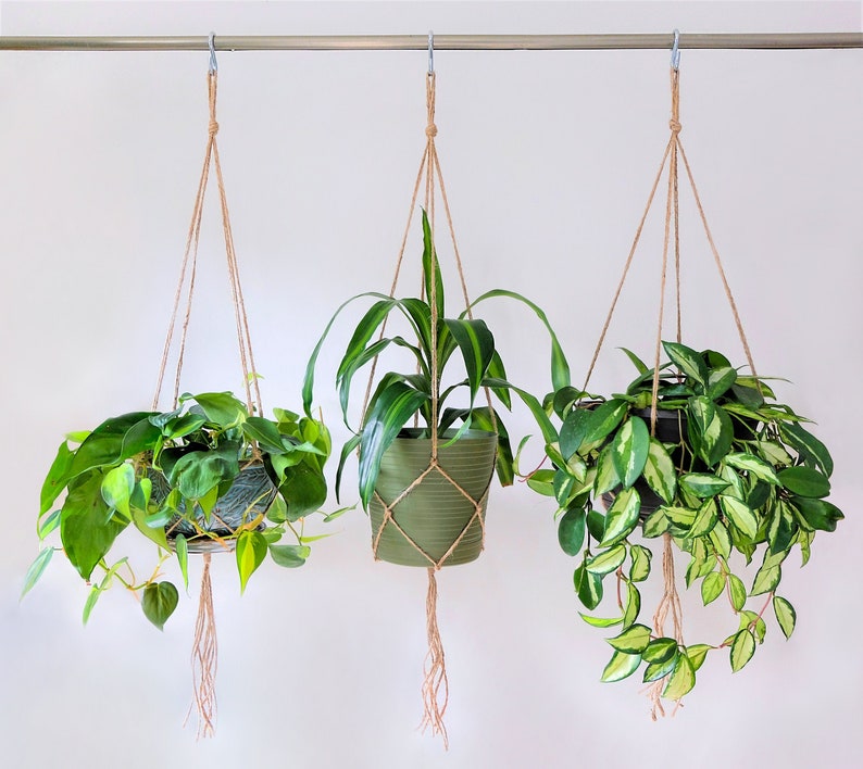 Simple Plant Hanger, Hanging Planter Indoor Plants, Macrame Plant Hanger Set for Houseplants & Hanging Plant, Rustic Minimalist Plant Holder image 1