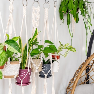 Macrame Plant Hanger, Hanging Planter Indoor, Small Large Hanging Plant Pot Holder, Boho Home Decor Ideas, Houseplant Wall Planter, Wall Art image 6