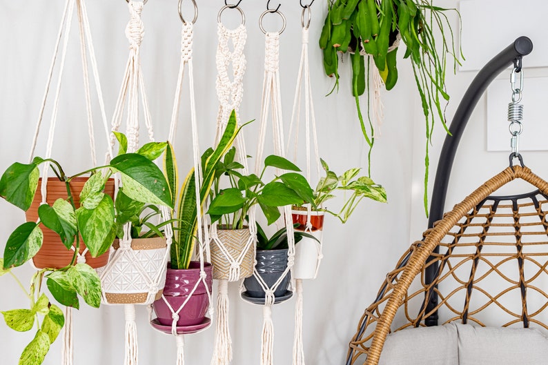 Macrame Plant Hanger, Hanging Planter Indoor, Small Large Hanging Plant Pot Holder, Boho Home Decor Ideas, Houseplant Wall Planter, Wall Art image 6